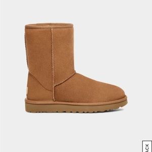 classic uggs — chestnut